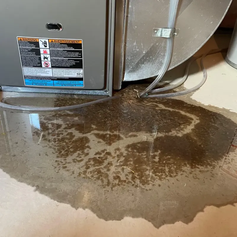 Appliance Leak Cleanup in Cusseta, GA